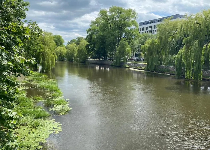 Chilliapartamenty - Platany - Powder Apartmán